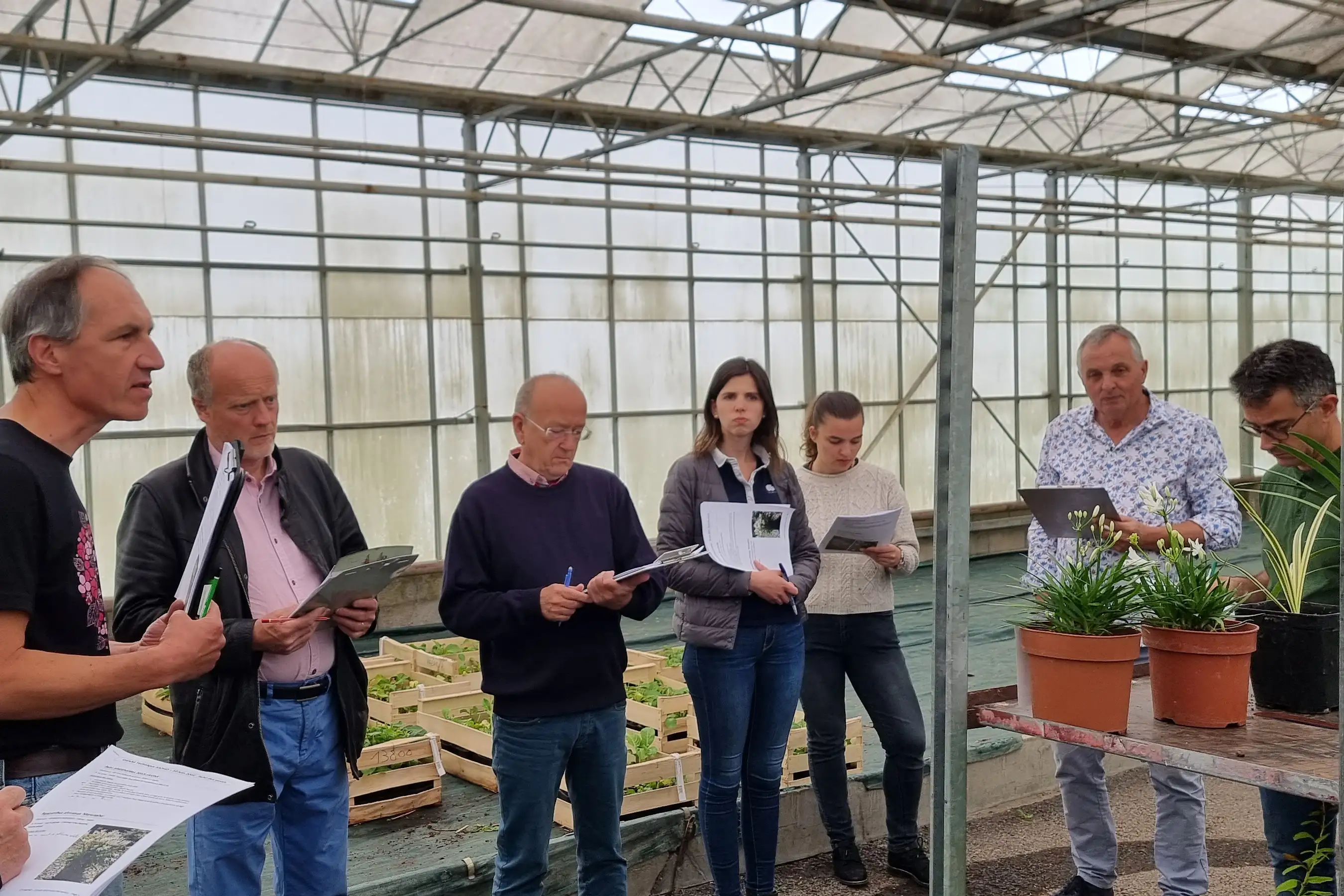 Comité technique Sapho autour de l'Agapanthus NINA® White 'MONSAPHO'