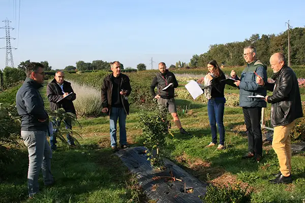 Comité technique Sapho