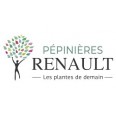 Pépinières RENAULT