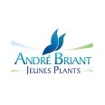ANDRE BRIANT JEUNES PLANTS