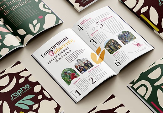 Entdecken Sie unser Katalogbuch: Sapho, pflanzliche Innovation seit 50 Jahren und noch lange Zeit Entdecken Sie unser Katalogbuch: Sapho, pflanzliche Innovation seit 50 Jahren und noch lange Zeit