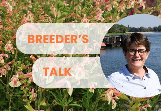 Breeder's talk: "Protecting our varieties and co-constructing a distribution strategy"