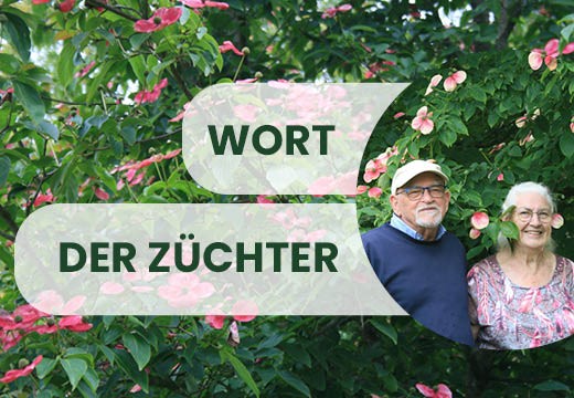 Wort der Züchter : „Sapho ermöglicht es uns, uns auf unsere Leidenschaft zu konzentrieren“