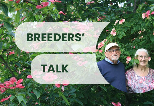 Breeders' talk: "Sapho allows us to concentrate on our passion"