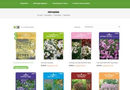 Standard labels and posters of SAPHO varieties at MAURYFLOR